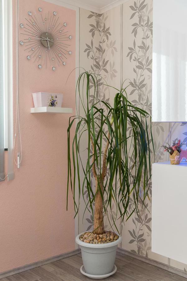Apartment Danijela II شيبينيك المظهر الخارجي الصورة